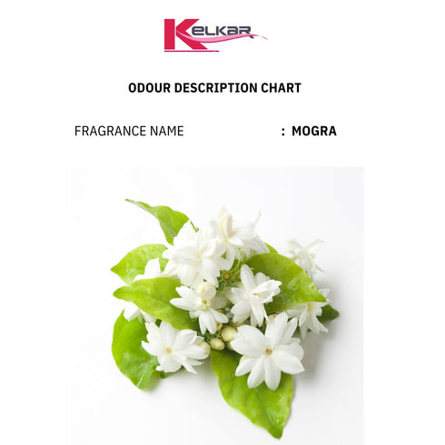Mogra